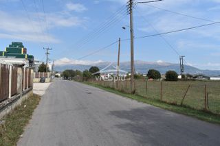 Αγροτεμάχια 5.600 τ.μ. για ενοικίαση, Ν. Ιωαννίνων, Ιωάννινα-thumb-37