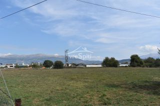 Αγροτεμάχια 5.600 τ.μ. για ενοικίαση, Ν. Ιωαννίνων, Ιωάννινα-thumb-18