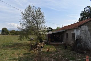 Αγροτεμάχια 5.600 τ.μ. για ενοικίαση, Ν. Ιωαννίνων, Ιωάννινα-thumb-19