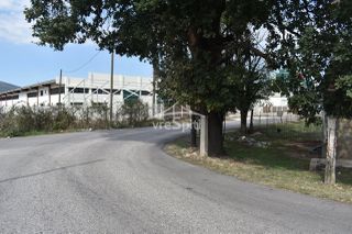 Αγροτεμάχια 5.600 τ.μ. για ενοικίαση, Ν. Ιωαννίνων, Ιωάννινα-thumb-34