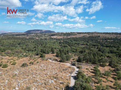 Οικόπεδο 6.411,27τ.μ. για πώληση-Βάμος