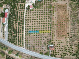 Οικόπεδο 9.295 τ.μ. για πώληση, Αργολίδα, Άργος-thumb-8