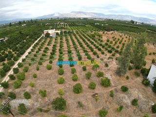 Οικόπεδο 9.295 τ.μ. για πώληση, Αργολίδα, Άργος-thumb-2