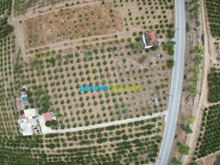 Οικόπεδο 9.295 τ.μ. για πώληση, Αργολίδα, Άργος-thumb-7