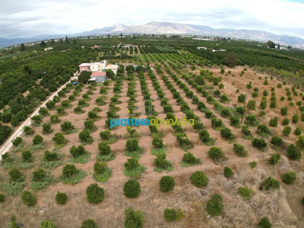 Οικόπεδο 9.295 τ.μ. προς πώληση, Κέντρο Άργους