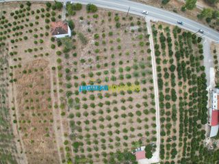 Οικόπεδο 9.295 τ.μ. για πώληση, Αργολίδα, Άργος-thumb-6