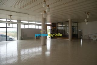 Κατάστημα 1.380 τ.μ. για ενοικίαση, Αργολίδα, Άργος-thumb-2