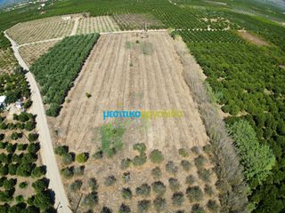 Αγροτεμάχια 8.634,38 τ.μ. προς πώληση, Κουρτάκι Άργους-thumb-7
