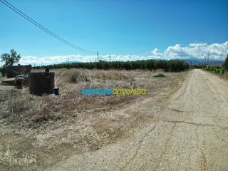 Αγροτεμάχια 8.634,38 τ.μ. προς πώληση, Κουρτάκι Άργους-thumb-10
