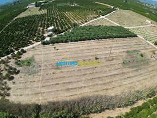 Αγροτεμάχια 8.634,38 τ.μ. προς πώληση, Κουρτάκι Άργους-thumb-8