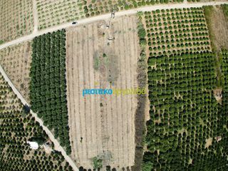 Αγροτεμάχια 8.634,38 τ.μ. προς πώληση, Κουρτάκι Άργους-thumb-5