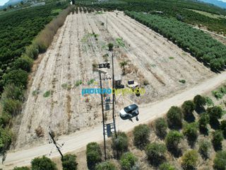 Αγροτεμάχια 8.634,38 τ.μ. προς πώληση, Κουρτάκι Άργους-thumb-9