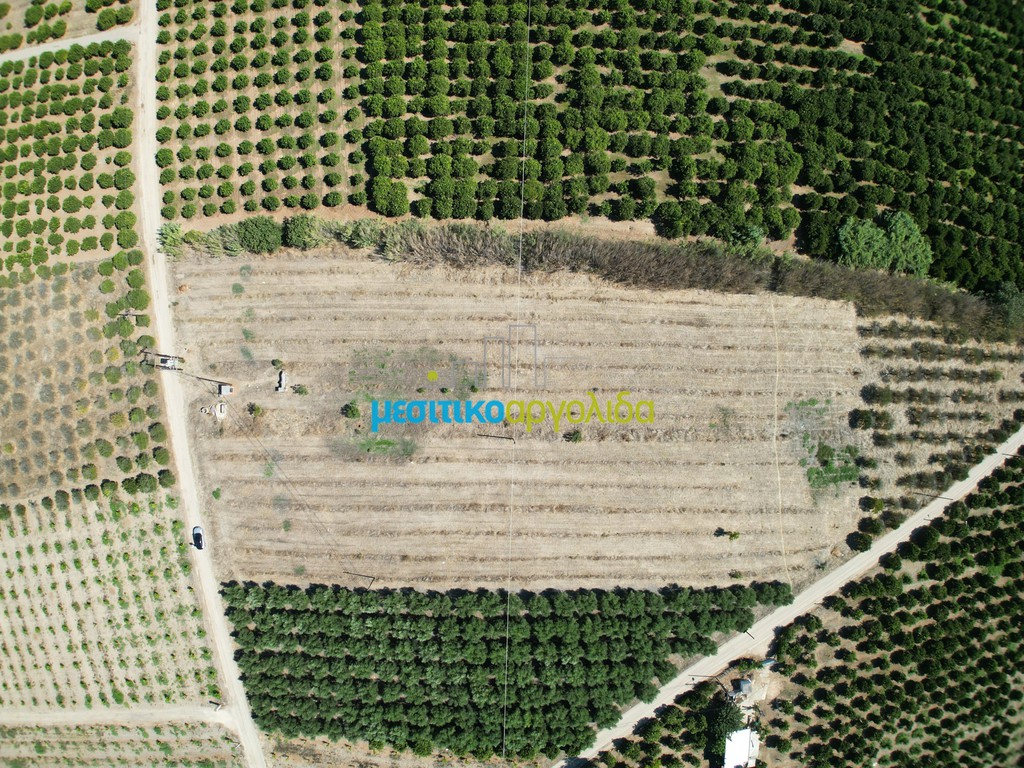 Αγροτεμάχια 8.634,38 τ.μ. προς πώληση, Κουρτάκι Άργους