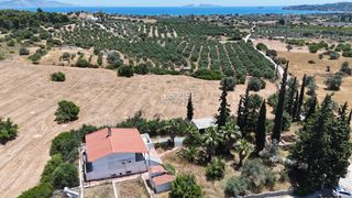 Μονοκατοικία 183 τ.μ. για πώληση, Αργολίδα, Κρανίδι-thumb-32