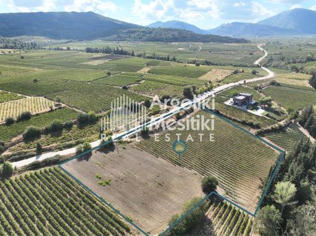 Αγροτεμάχια 13.971τ.μ. για πώληση-Νεμέα » Κούτσι