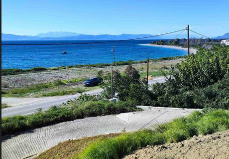 Αγροτεμάχια 8.228,68τ.μ. για πώληση-Λίμνη
