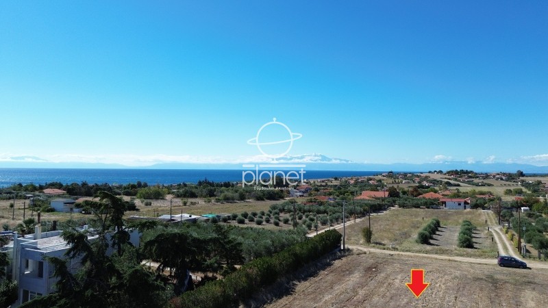 Αγροτεμάχια 12.530 τ.μ. προς πώληση, Κέντρο Επανομής