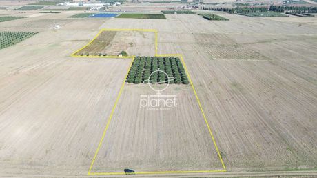 Parcel 33.500sqm for sale-Epanomi » Center