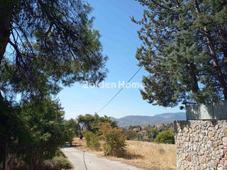 Οικόπεδο 9.000 τ.μ. για πώληση