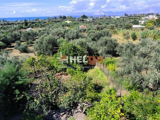 Οικόπεδο 892 τ.μ. πρός πώληση, Αχαΐα, Παραλία-thumb-23