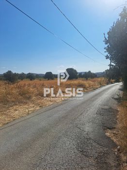 Parcel 2.355sqm for rent-Spata