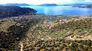 Οικόπεδο 4.379 τ.μ. για πώληση, Αργολίδα, Ερμιόνη-thumb-1