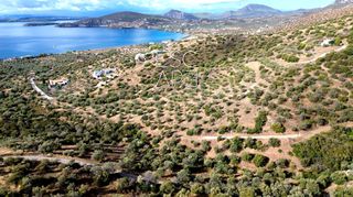 Οικόπεδο 4.379 τ.μ. για πώληση, Αργολίδα, Ερμιόνη-thumb-5