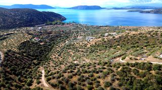 Οικόπεδο 4.379 τ.μ. για πώληση, Αργολίδα, Ερμιόνη-thumb-9