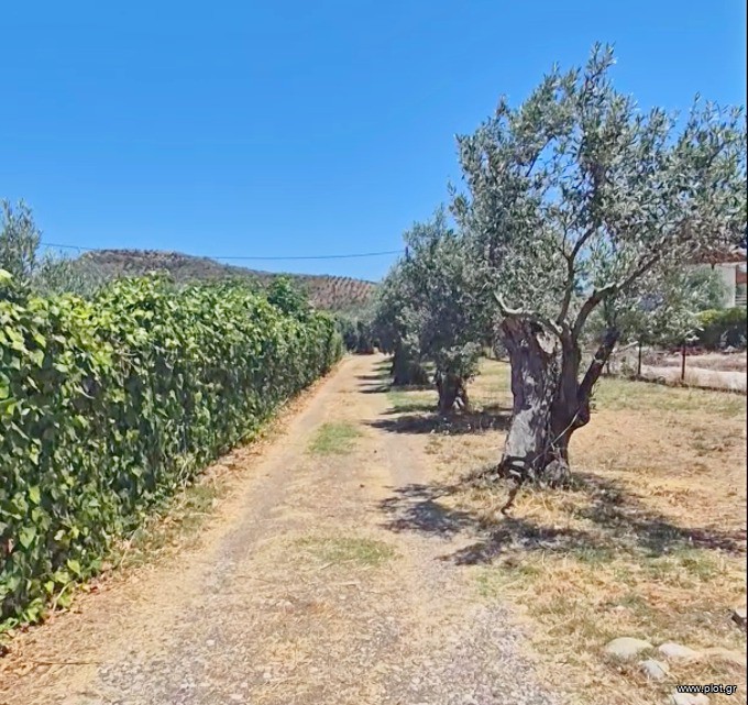 Μονοκατοικία 122 τ.μ. προς πώληση, Σηπιάδα Λίμνης