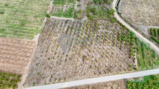 Αγροτεμάχια 7.225 τ.μ. προς πώληση, Μαρίνα Ανθεμιάς-thumb-13