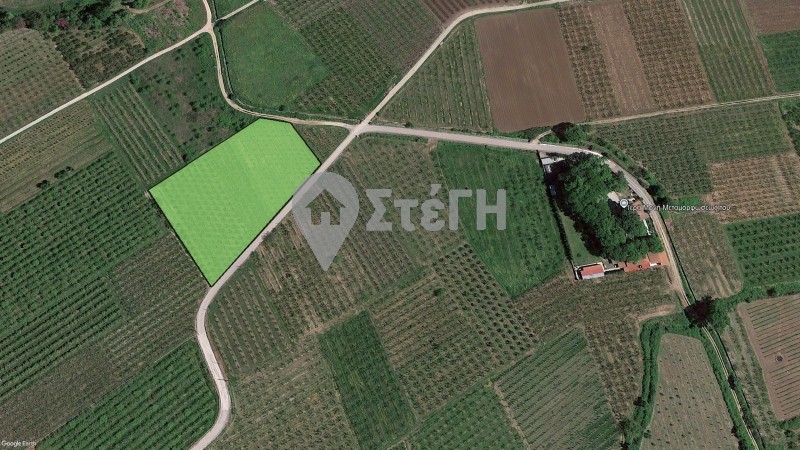 Αγροτεμάχια 7.225 τ.μ. προς πώληση, Μαρίνα Ανθεμιάς