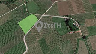 Αγροτεμάχια 7.225 τ.μ. προς πώληση, Μαρίνα Ανθεμιάς-thumb-3