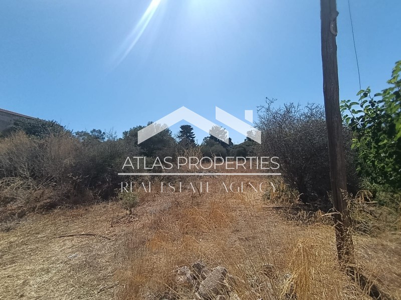 Οικόπεδο 1.300 τ.μ. προς πώληση, Ξηροστέρνι