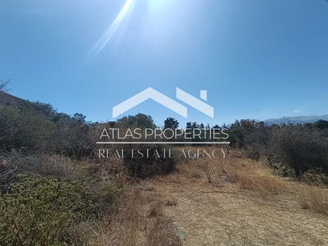 Land plot 1.300sqm for sale-Vamos » Xirosterni