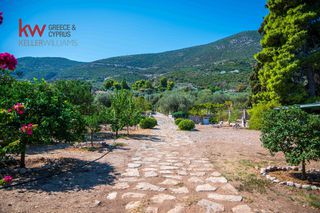 Μονοκατοικία 138 τ.μ. για πώληση, Αργολίδα, Επίδαυρος-thumb-23
