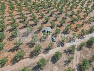 Αγροτεμάχια 8.500 τ.μ. προς πώληση, Ασκληπιείο-thumb-13