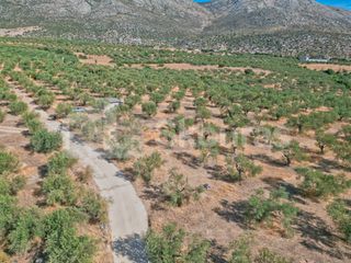 Αγροτεμάχια 8.500 τ.μ. προς πώληση, Ασκληπιείο-thumb-11