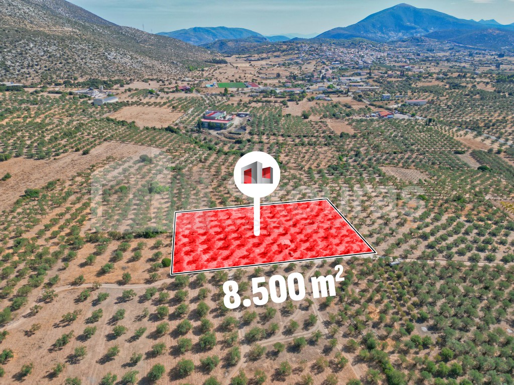 Αγροτεμάχια 8.500 τ.μ. προς πώληση, Ασκληπιείο