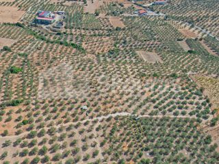 Αγροτεμάχια 8.500 τ.μ. προς πώληση, Ασκληπιείο-thumb-22