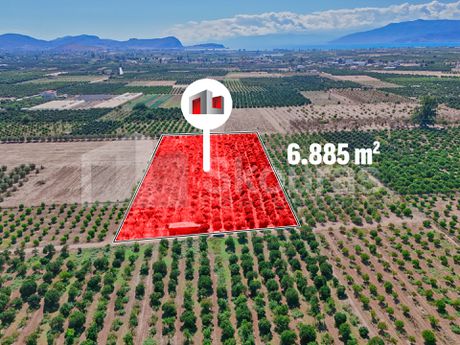 Αγροτεμάχια 6.885τ.μ. για πώληση-Άργος