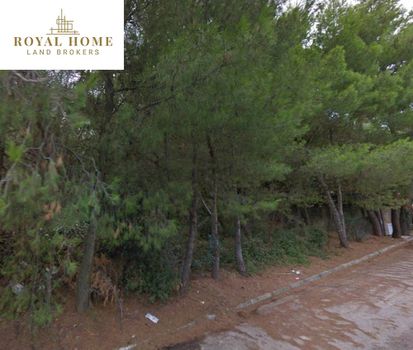 Οικόπεδο 800τ.μ. για πώληση-Διόνυσος » Κέντρο