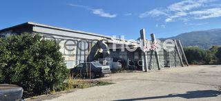 Επιχειρηματικό κτίριο 960 τ.μ. για πώληση
