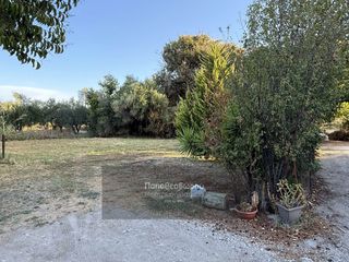 Οικόπεδο 467 τ.μ. για πώληση, Αχαΐα, Παραλία-thumb-1
