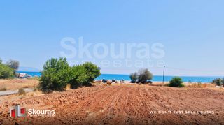 Αγροτεμάχια 17.367,79 τ.μ. για πώληση, Μεσσηνία, Μεσσήνη-thumb-19