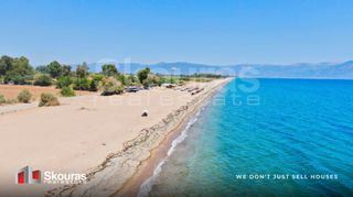 Αγροτεμάχια 17.367,79 τ.μ. για πώληση, Μεσσηνία, Μεσσήνη-thumb-8