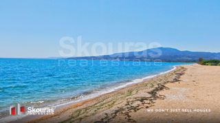 Αγροτεμάχια 17.367,79 τ.μ. για πώληση, Μεσσηνία, Μεσσήνη-thumb-22