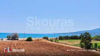 Αγροτεμάχια 17.367,79 τ.μ. για πώληση, Μεσσηνία, Μεσσήνη-thumb-15