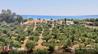 Αγροτεμάχια 17.367,79 τ.μ. για πώληση, Μεσσηνία, Μεσσήνη-thumb-5