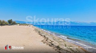 Αγροτεμάχια 17.367,79 τ.μ. για πώληση, Μεσσηνία, Μεσσήνη-thumb-4