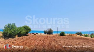 Αγροτεμάχια 17.367,79 τ.μ. για πώληση, Μεσσηνία, Μεσσήνη-thumb-10